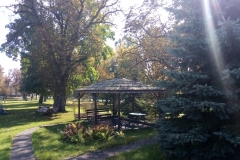 IMG-20211003-WA0006