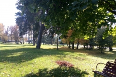 IMG-20211003-WA0008