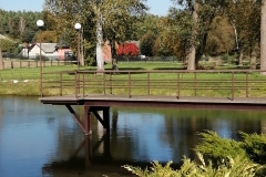 IMG_20211003_121346